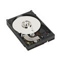 Western Digital HD CE/400GB EIDE 7200rpm 8MB (WD4000AVJB)